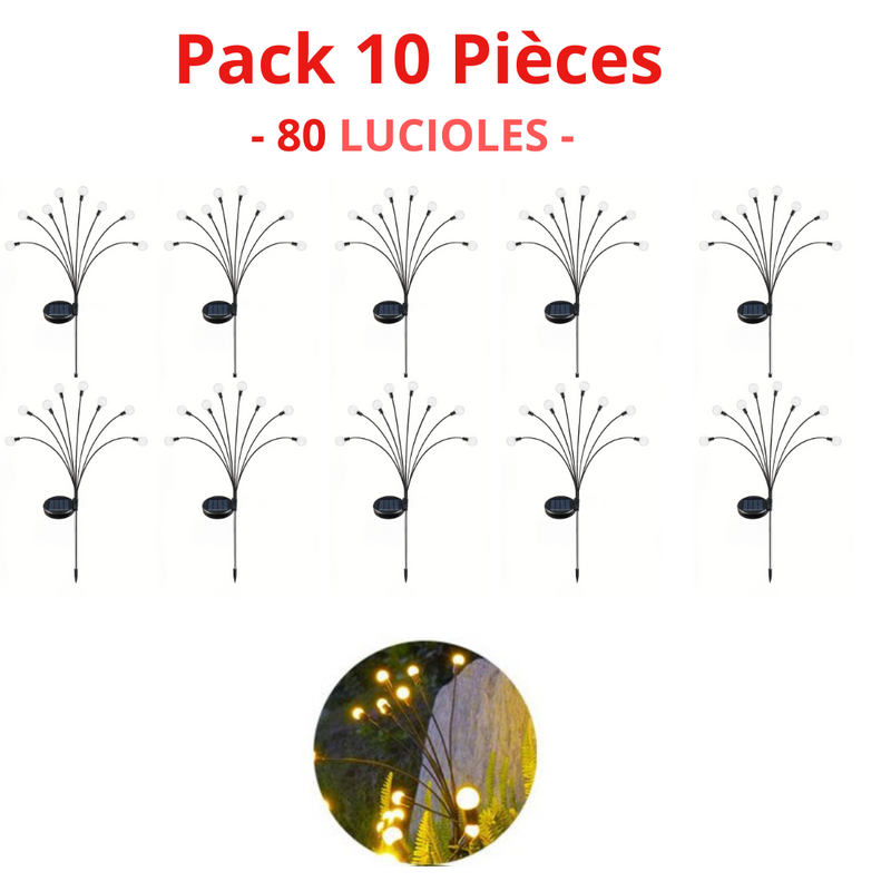 Lampes LED Solaires Lucioles - Glam & Cosy